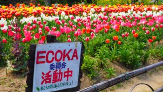 春まっさかり！