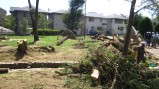 自然の猛威(2018/09/04台風21号)