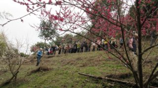 鹿ノ台緑地を歩こう！～ECOKAの森林ウォーク～